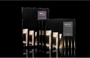 《伶仃洋上的奇跡》畫冊平面設(shè)計(jì)